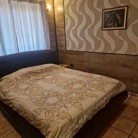 Guest House Maja Новий Сад Екстер'єр фото