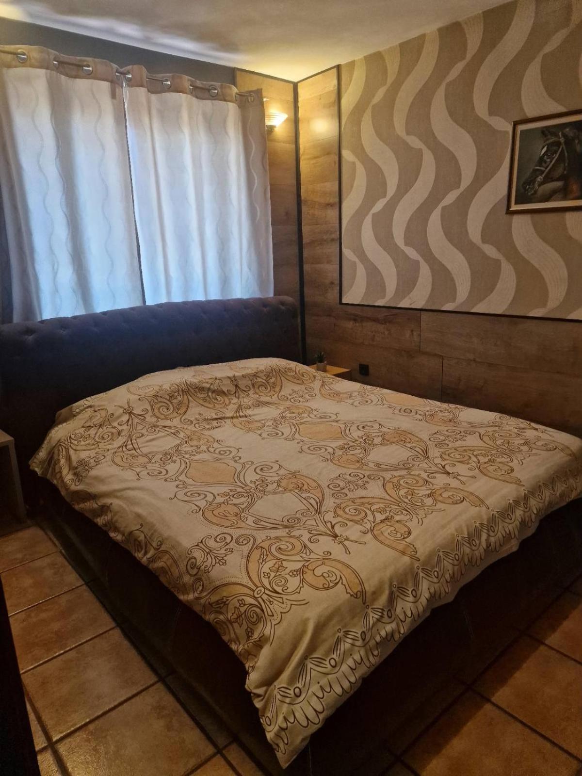 Guest House Maja Новий Сад Екстер'єр фото